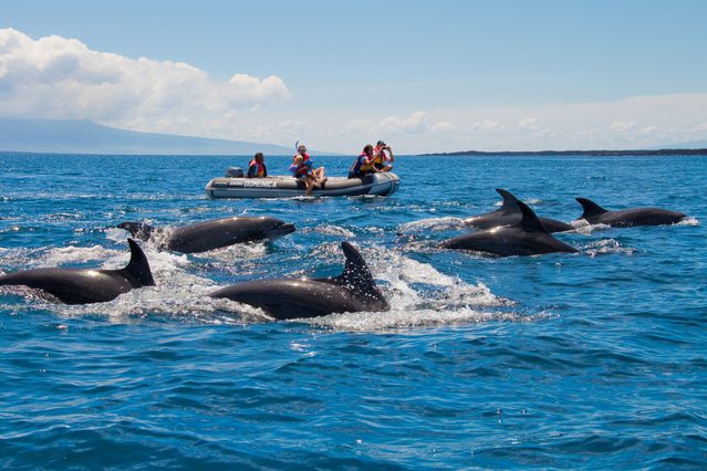 The Galapagos islands