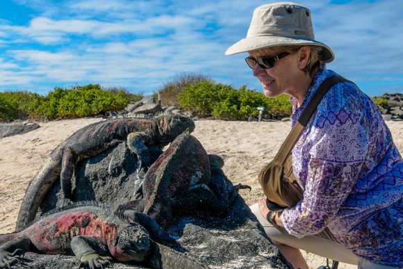 Galapagos Española Island Iguana latin trails