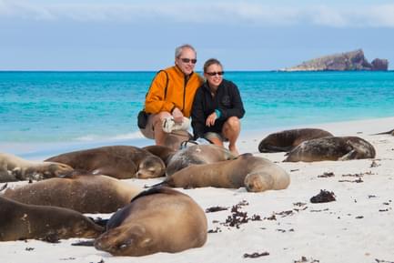Sea lions on beach galapagos