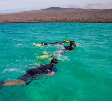 galapagos gps snorkle