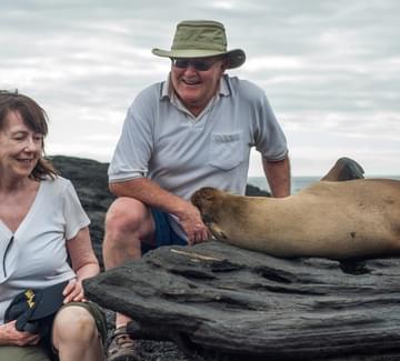 galapagos sea lion