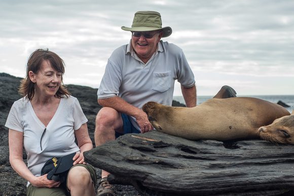 galapagos sea lion