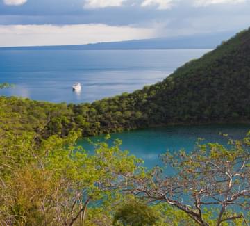 tagus cove
