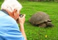Galapagos photographing tortoise c latin trails