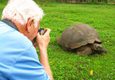 Galapagos photographing tortoise c latin trails