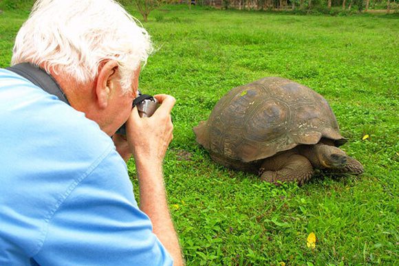 photographing giant tortoise up close