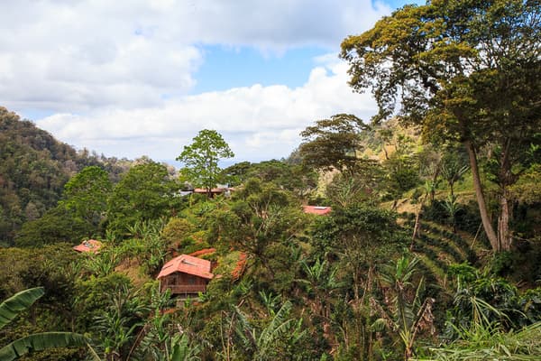 Nicaragua highlands c la bastilla lodge