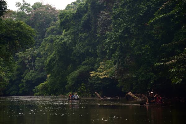 Nicaragua rio san juan indio maiz natural reserve dugout canoes