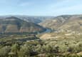Porto & the Douro Valley