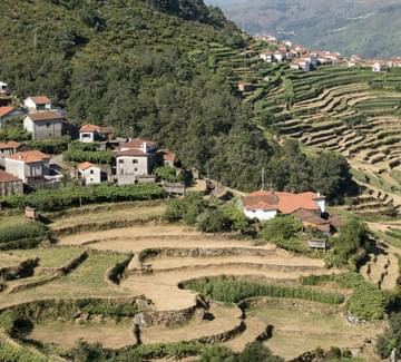 sistelo terraces