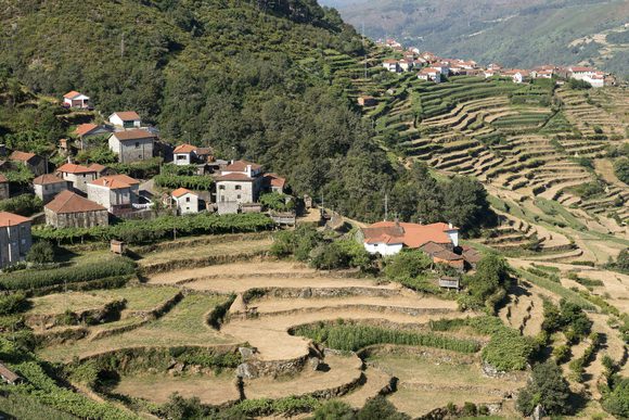 sistelo terraces