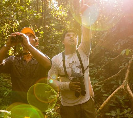 Peru amazon rainforest expeditions guide