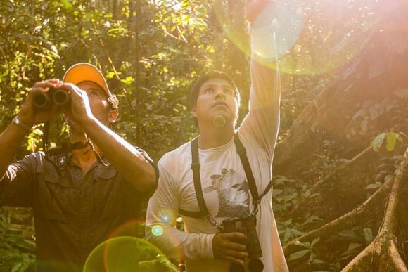 wildlife guide peruvian amazon