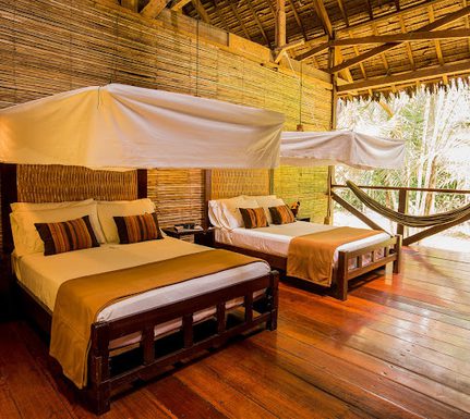 Peru amazon refugio amazonas room c rainforest expeditions