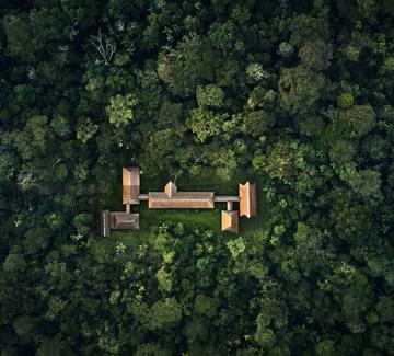 amazon rainforest
