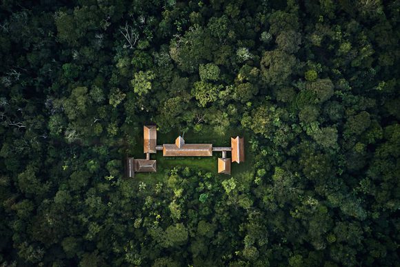 amazon rainforest