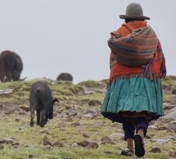 potatoes sacred valley peru