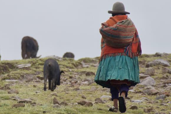 Peru sacred valley quenco village shepherd walking highlands