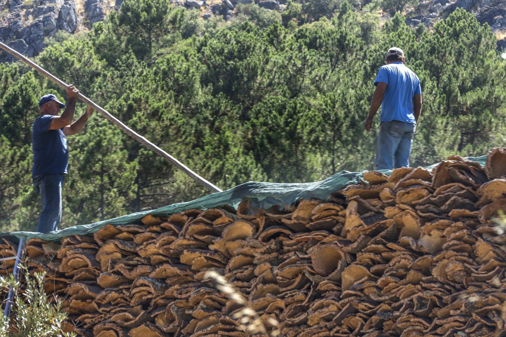 Portugal alentejo castelodavide cork