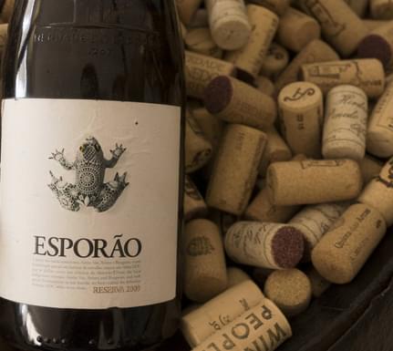Portugal alentejo esporao wine