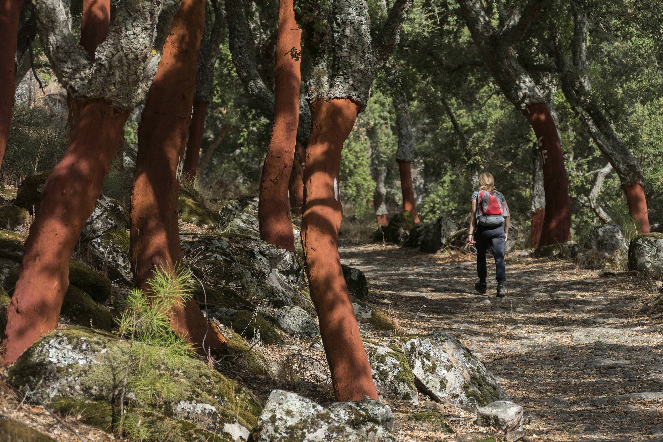 Portugal alentejo marvao galegos hike medieval path