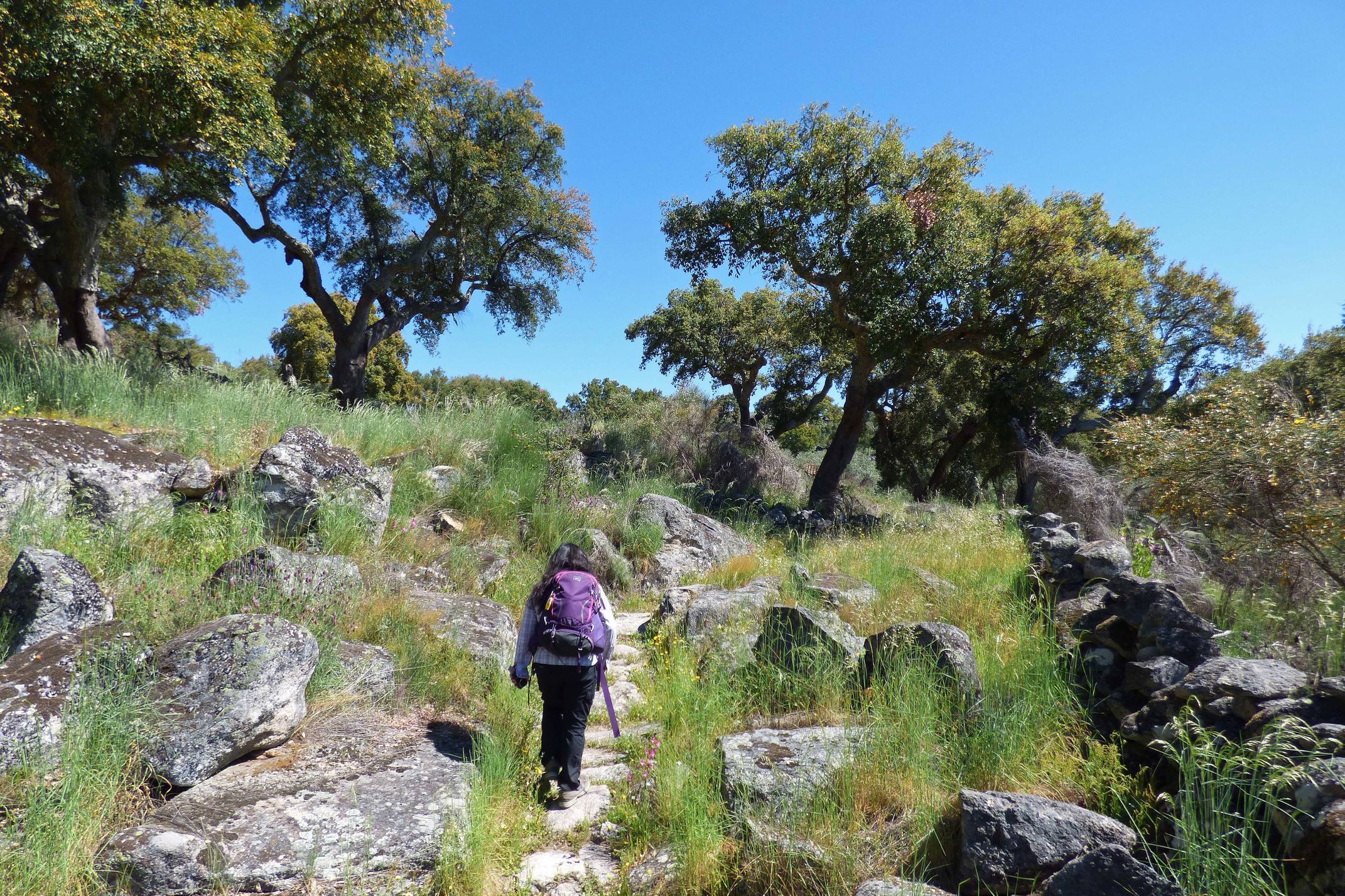 Portugal alentejo marvao hiking cork oaks sever riverl c diego pura