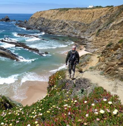 Portugal alentejo rota vicentina cliff hiker flowers