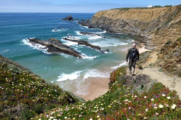 hiker walking past spring flowers on costa vicentina