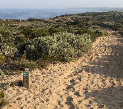 Portugal alentejo rota vicentina trail mark