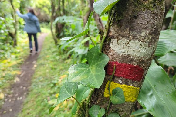 walking in volcanic highlands in faial