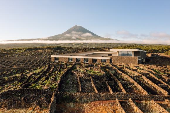 azores wine company hotel