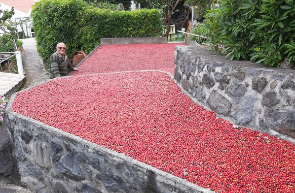 Portugal azores sao jorge c cafe nunes