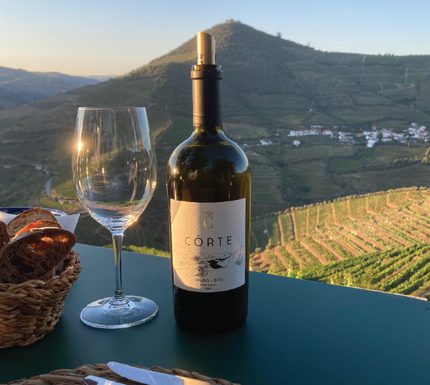 Portugal douro c quinta da corte 9