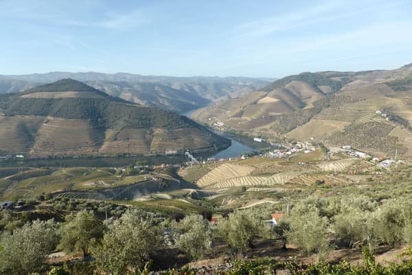 Portugal douro looking down on pinhao from loivos