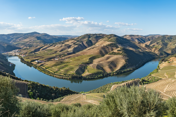 douro river wine terraces