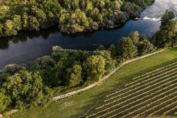 Portugal minho ponte de lima quinta do ameal vineyards river c ameal