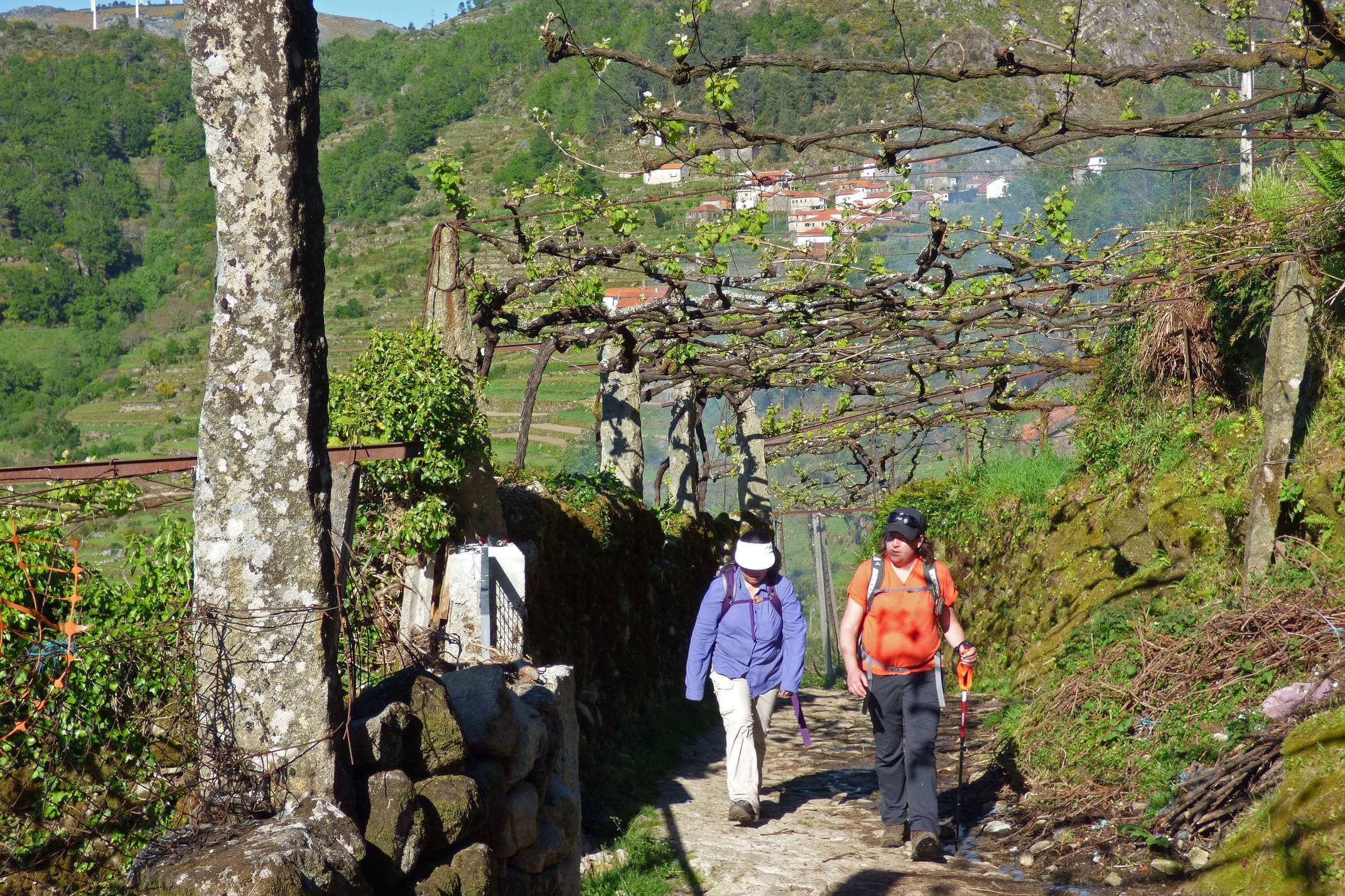 Portugal peneda hiking padrao socalcos landscape 2 c diego