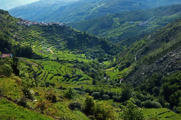Portugal peneda hiking padrao socalcos landscape c diego