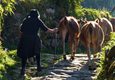 Portugal peneda hiking sistelo padrao farmer cows c diego