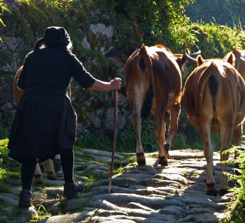 Portugal peneda hiking sistelo padrao farmer cows c diego