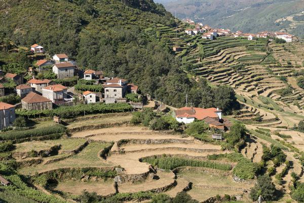 Portugal peneda sistelo hike porto covo padrao