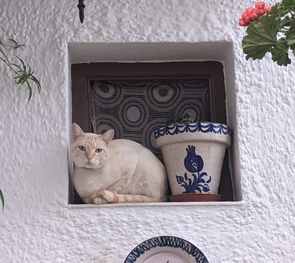 Spain andalucia alpujarra chris bladon pura aventura 4