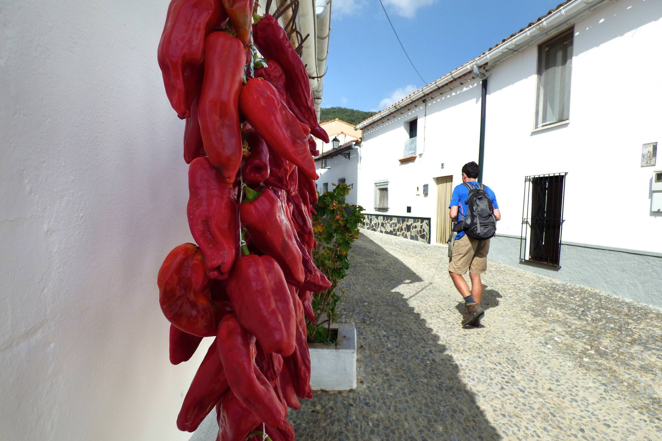 Spain andalucia aracena hills peppers in navahermosa village