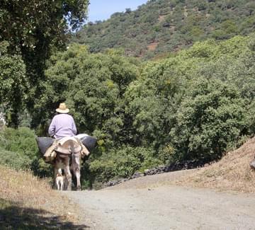 man on donkey near aracena
