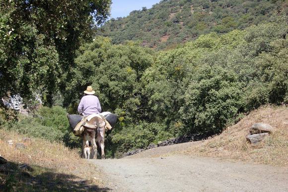 man riding donkey in sierra de aracena