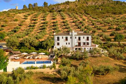 andalucia farmhouse b&b in olive groves