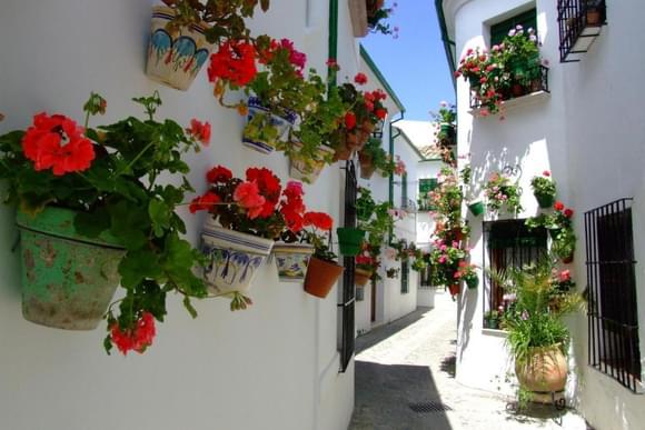 priego de cordoba flower streets