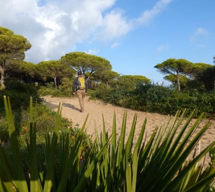Spain andalucia cadiz barbate coastal walk pine trees palms