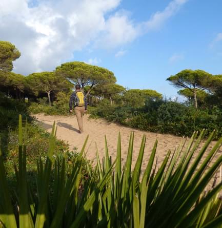 mediterranean forest hike cadiz coast andalucia