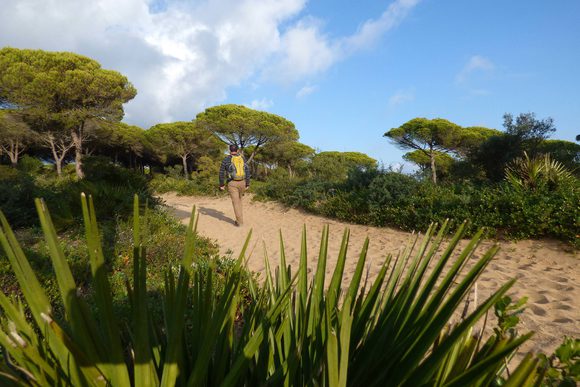 walking in forests of la brena natural park